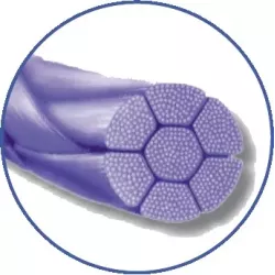 Surgicryl multifilament fioletowy z igłą okrągłą (1/2 koła)